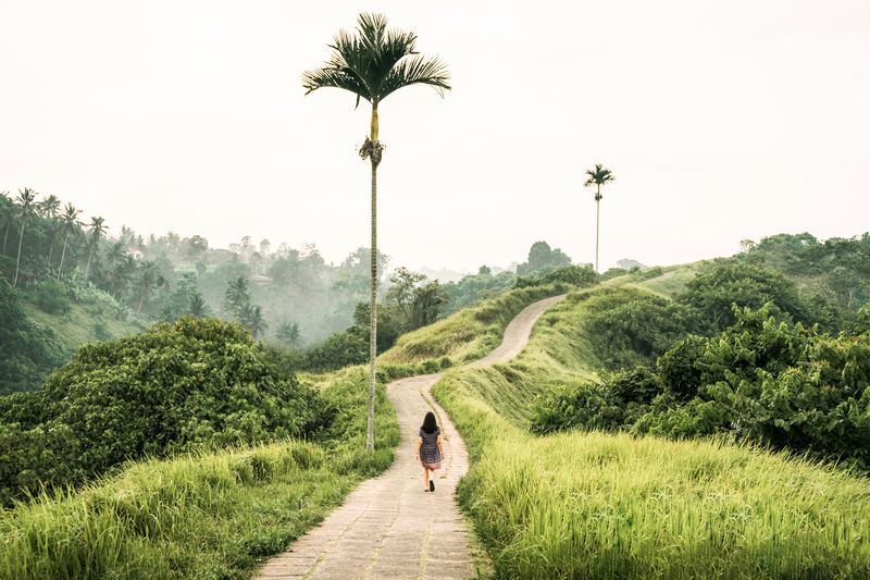 Bali_Ubud countryside